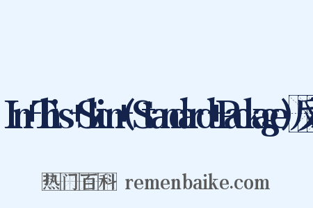 In+This+Skin+(Standard+Package)反义词是什么意思的图片